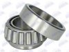 BTA B01-528983 Wheel Bearing